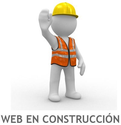 Sitio web en construccin